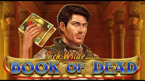 Banner image